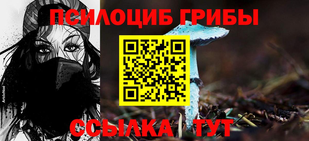 Псилоцибиновые грибы Cubensis  Галлюциногенные грибы Cubensis  Алейск  Вход с VPN 